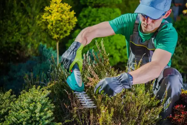 landscaping services Webberville
